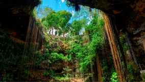 Cenote - Yucatan