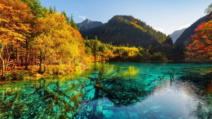 Il Lago dei Cinque Fiori, in Cina, sembra l’opera di un impressionista