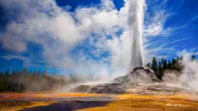 Come visitare i parchi più belli degli Stati Uniti…con una webcam