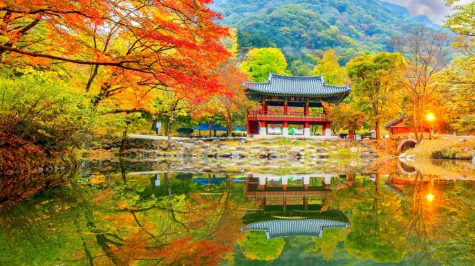 Viaggio nella Corea del Sud? Oggi si soggiorna nei templi buddisti