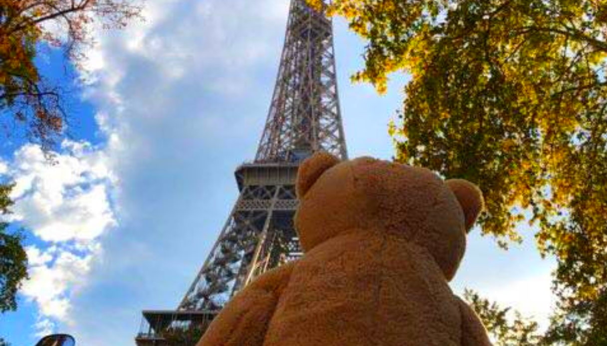 Parigi - Teddy Bear