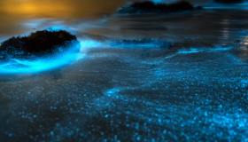 I cinque meravigliosi fenomeni naturali da vedere almeno una volta nella vita