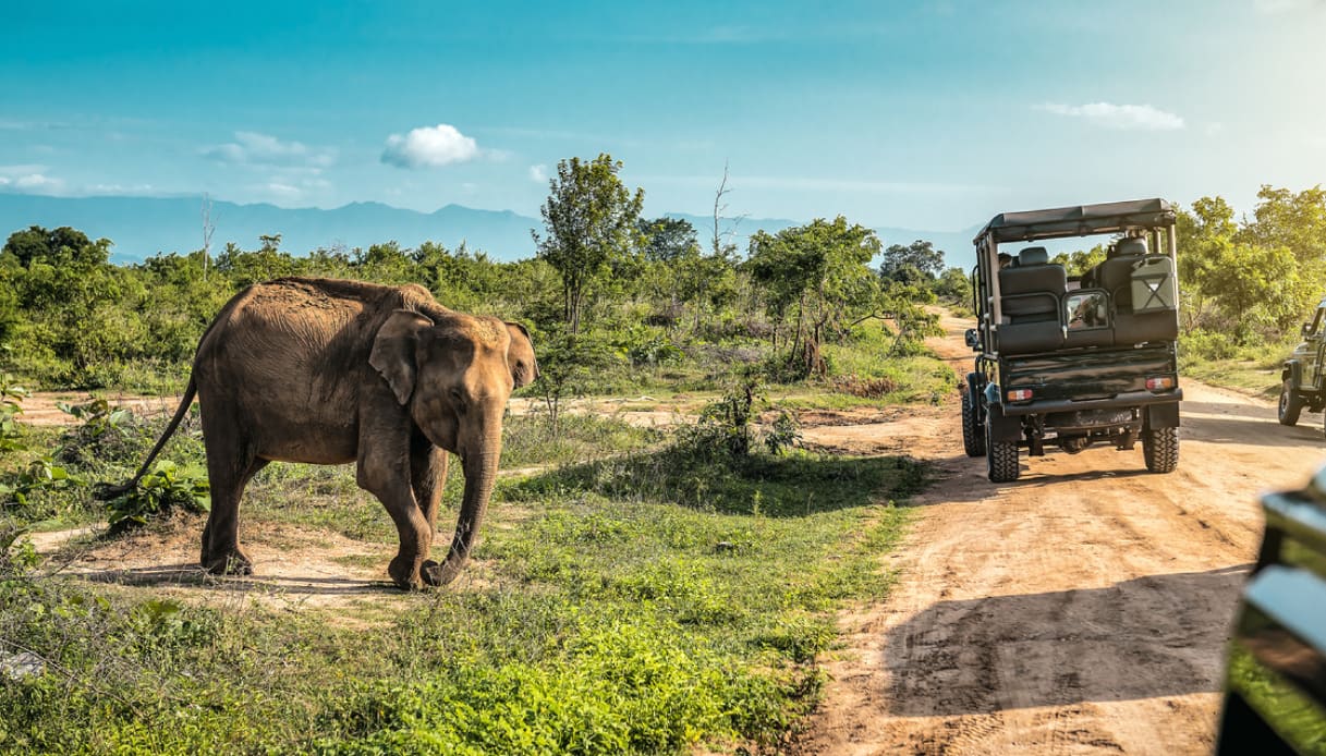 Sri Lanka per una vacanza con i bambini da 2 a 5 anni