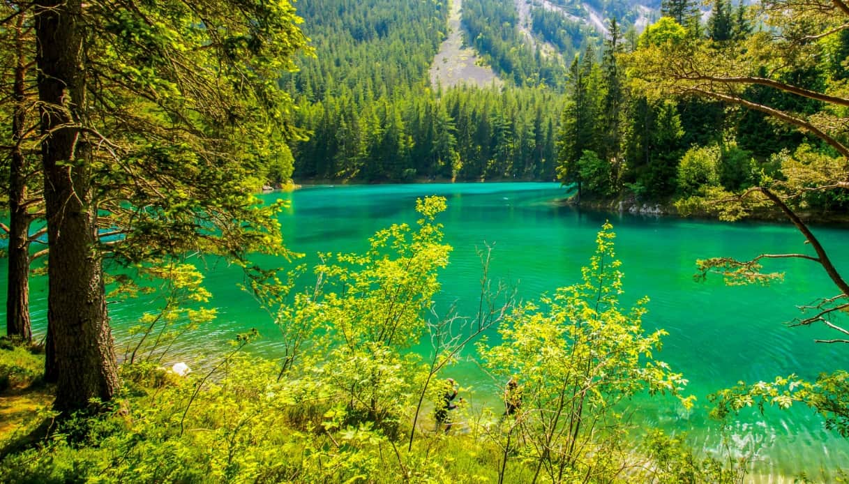 Grüner See, il lago austriaco che esiste solo quattro mesi l'anno