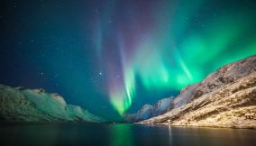 Nuotare con le orche, sotto l'aurora boreale il safari nei fiordi norvegesi