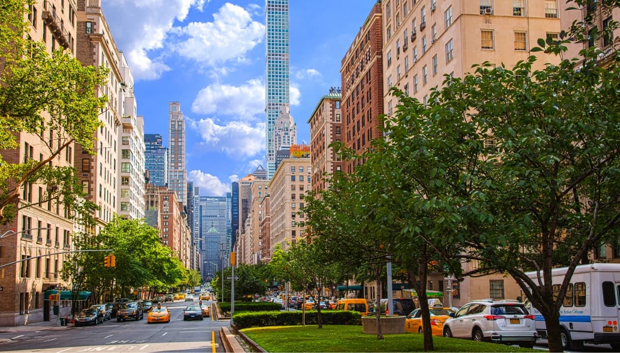 Il museo del cane di New York sarà il più grande del mondo