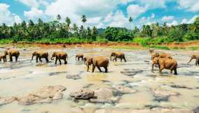 sri lanka