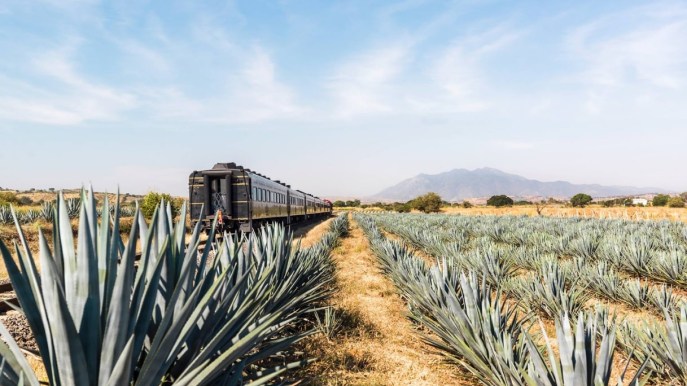 In Messico si viaggia a bordo del Treno della Tequila