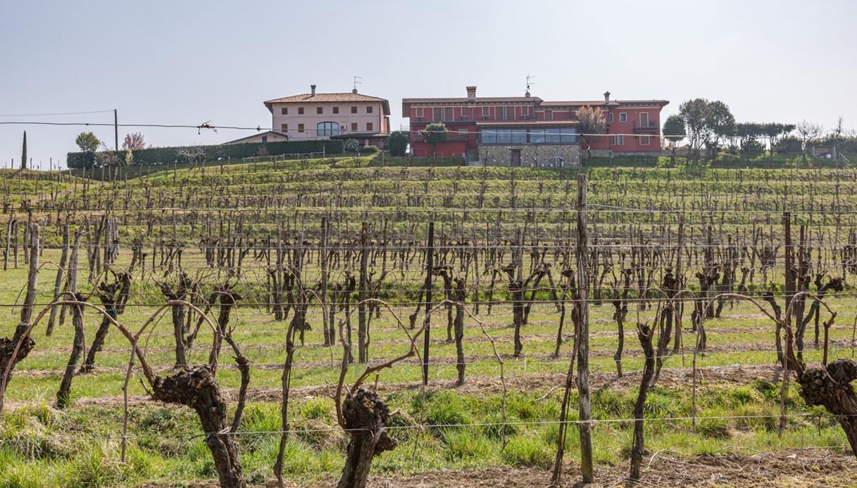 Paesaggio nei dintorni di Soleschiano di Manzano