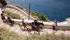 santorini-asini.muli-fatica