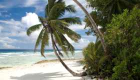 Dove sono le Isole Chagos, un paradiso inedito in mezzo all’oceano