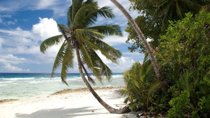 Dove sono le Isole Chagos, un paradiso inedito in mezzo all’oceano