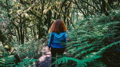 Fare trekking a La Gomera nel cuore delle Isole Canarie