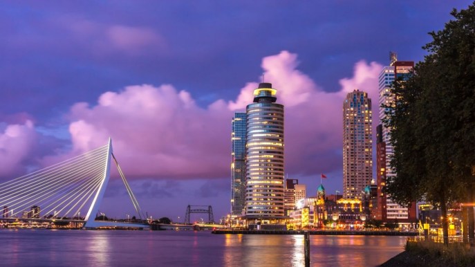Rotterdam vista dall’alto: il tour sui tetti della città