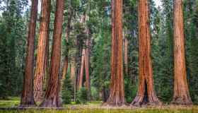 Le tappe principali e alcuni consigli per affrontare il Pacific Crest Trail