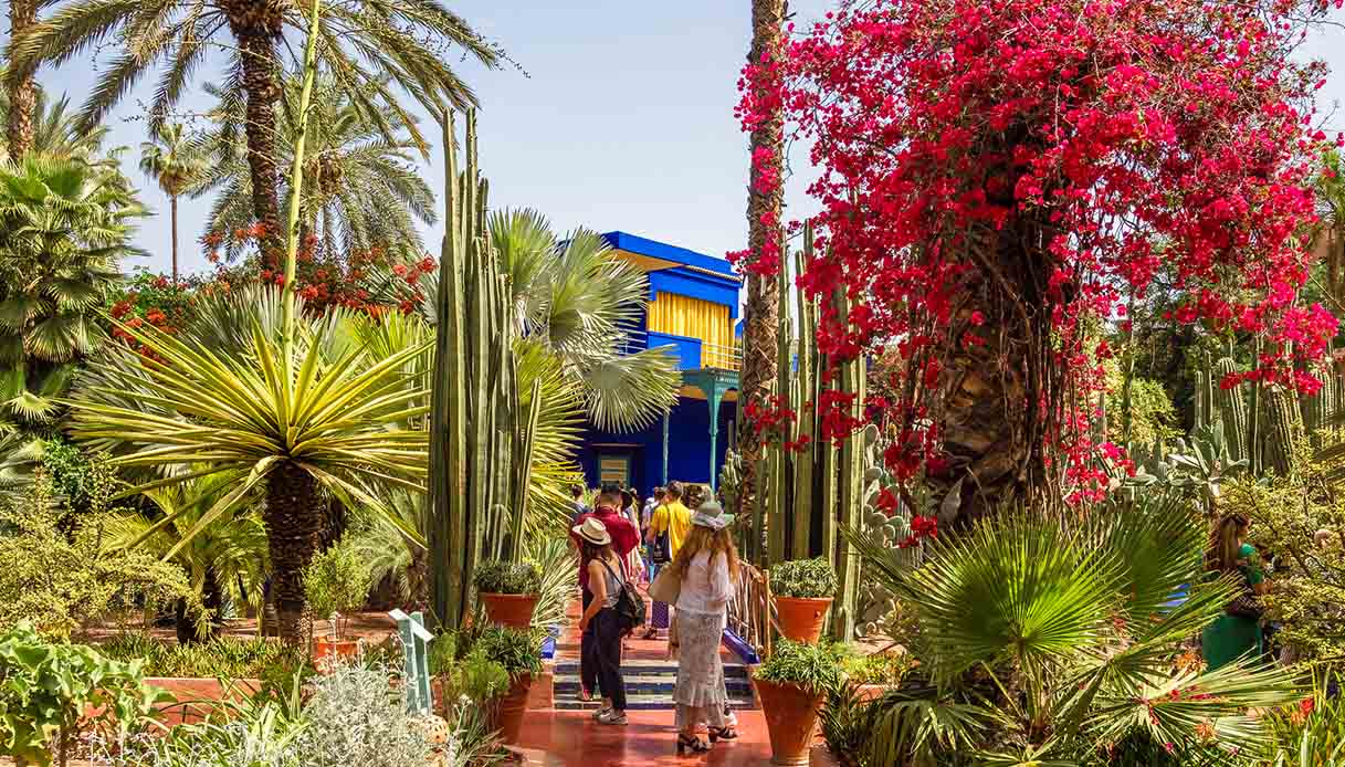 Majorelle, un’oasi di pace verde e blu nel cuore del Marocco