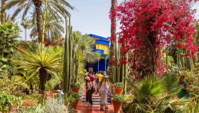 Majorelle, il cuore segreto blu e verde di Marrakech