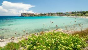 Pianosa, da ex carcere a paradiso naturale: come visitarla