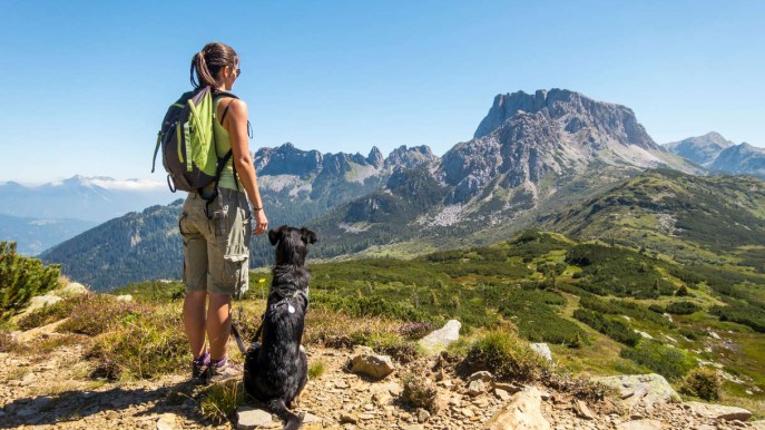 5 destinazioni europee per le vacanze con il cane e qualche consiglio
