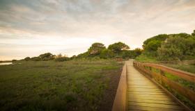 La passerella di Porto Caleri dal Giardino Botanico al Delta del Po