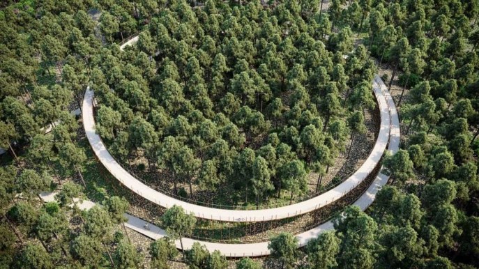 In Belgio, si pedala tra gli alberi delle Fiandre su di una pista sopraelevata