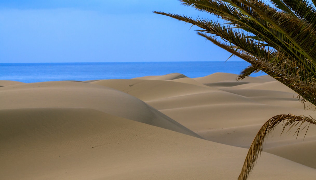 Maspalomas, la spiaggia di Gran Canaria che somiglia al Sahara | SiViaggia