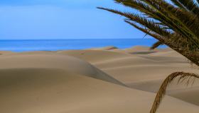Maspalomas, la spiaggia di Gran Canaria che somiglia al Sahara