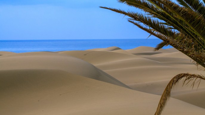 Maspalomas, la spiaggia di Gran Canaria che somiglia al Sahara