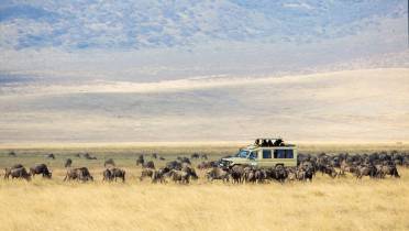 In Kenya, il safari ispirato al film “Il Re Leone”