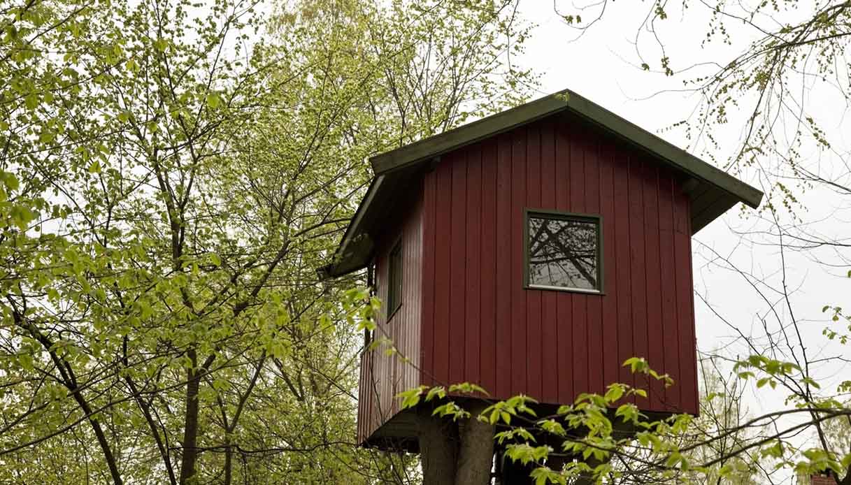 Le più belle case sugli alberi si trovano in Norvegia