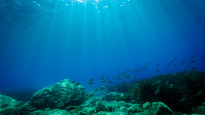 Sotto le acque della Sicilia sono stati scoperti sei vulcani sottomarini