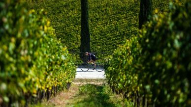 L’Eroica, il percorso permanente in bici che attraversa le colline toscane