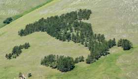 La storia del bosco a forma d’Italia