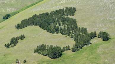 La storia del bosco a forma d’Italia