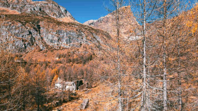 Vedere il foliage sull’Alpe di Devero