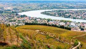 5 cose da fare a Bordeaux tra vino, storia e architettura