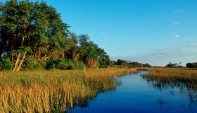 In Botswana, alla scoperta del vero giardino dell’Eden