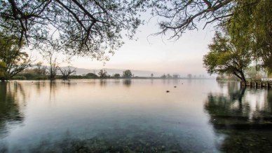 Nel lago di Posta Fibreno c’è un’isola galleggiante che incanta e stupisce