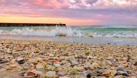 Questa spiaggia di conchiglie colorate si trova in Florida (e sembra uscita da una fiaba  )