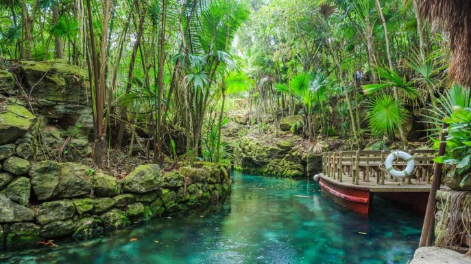 La città-foresta di Cancun è italiana: milioni di alberi per il clima