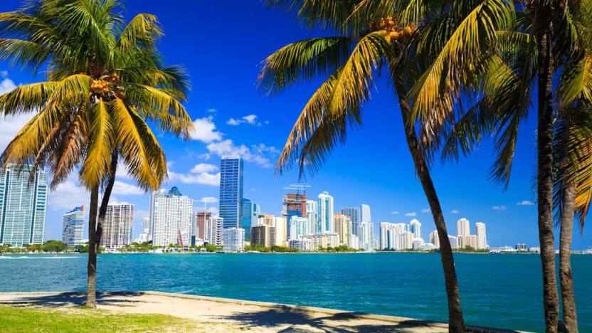 Miami, 5 esperienze imperdibili per scoprire l’assolata città della Florida