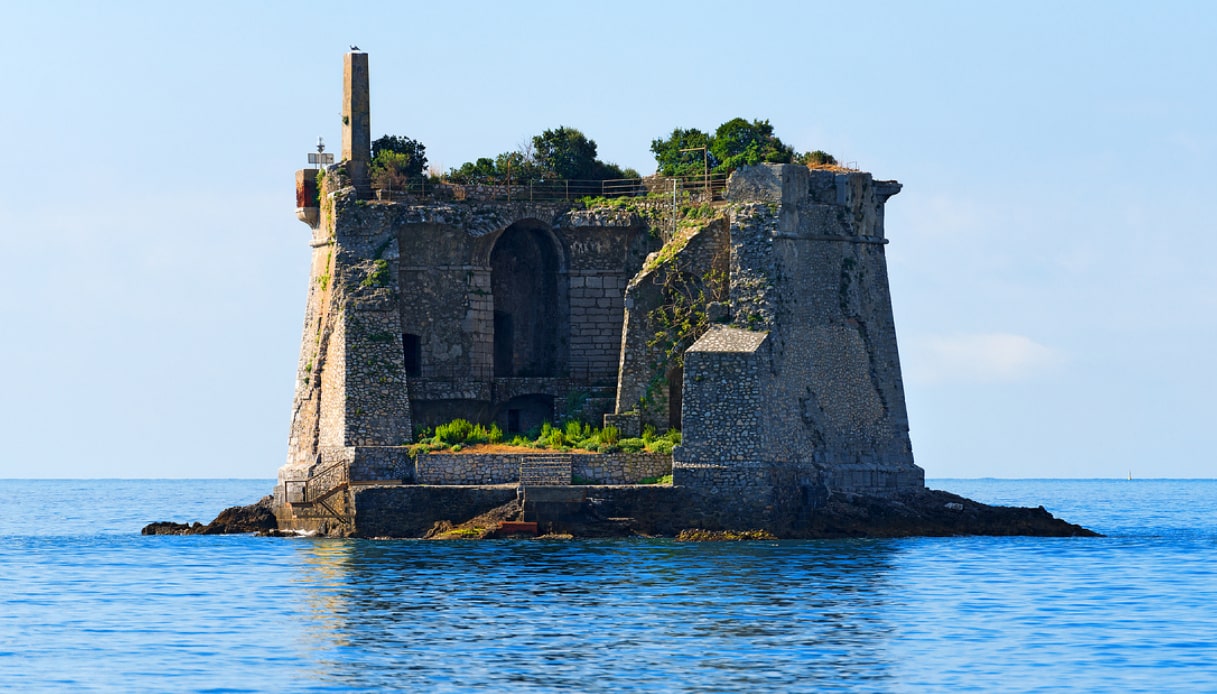 Vegetazione cresciuta dentro solitaria Torre Scola nel Mar Ligure