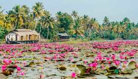 Viaggiare da soli in Kerala