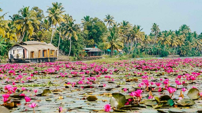 Viaggiare da soli in Kerala