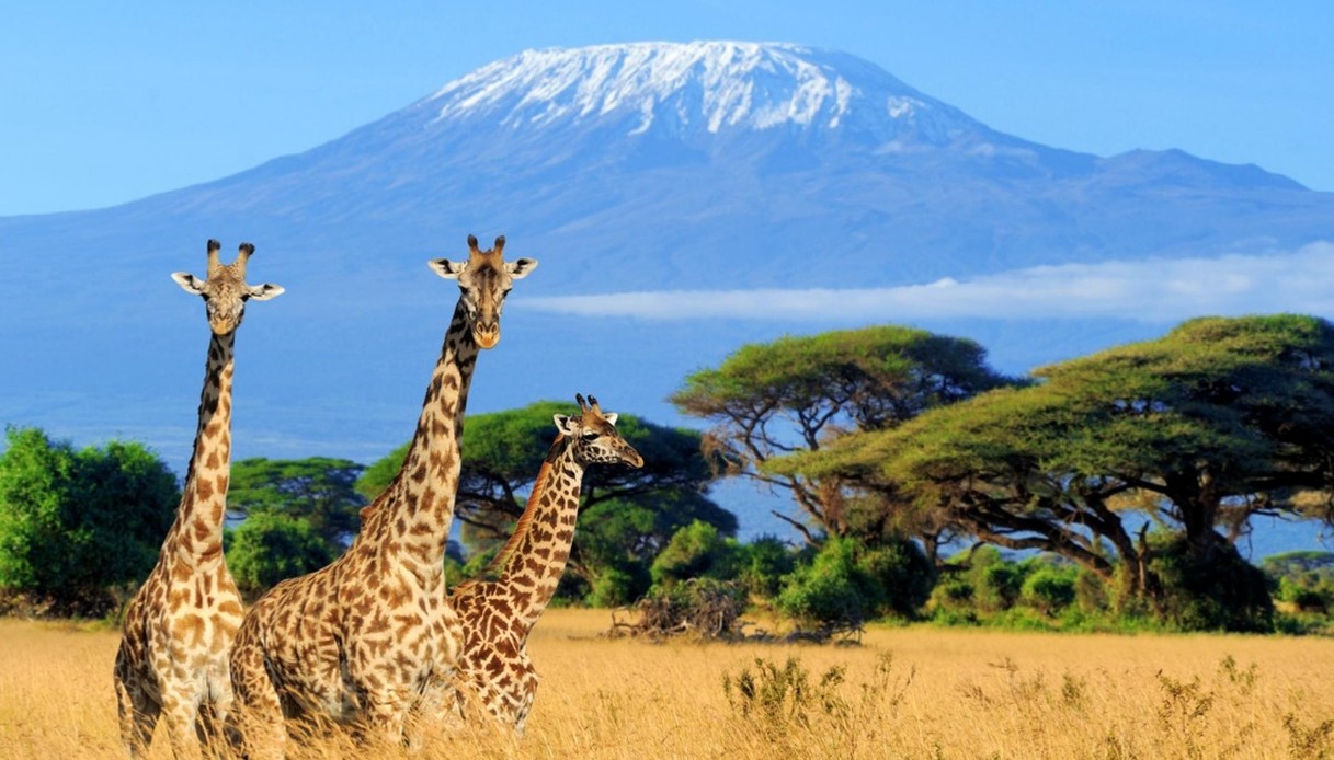 Vi spiego cos’è il mal d’Africa e perché non vi abbandonerà mai