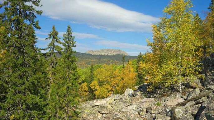 In Russia c’è un fiume di pietra immerso nella foresta