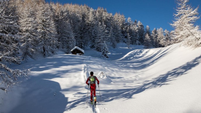 Top 20 Winter Trails: i migliori itinerari di montagna del Friuli Venezia Giulia