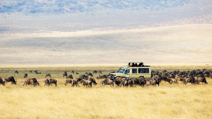 Tanzania, il luogo dove andare se vuoi fare i safari senza trovare nessuno