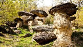 La storia dei funghi giganti della Val Maira