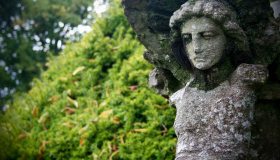 La Foresta di Sherwood è tra i siti naturali più instagrammabili